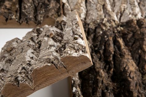 Bark makes for a beautiful cladding and facade material Bark Sculpture, Birch Wood Texture, Wood Bark Texture, Tree Bark Wallpaper, Tree Bark Drawing Texture, Bird Hide, Natural Architecture, Poplar Tree, Texture Material