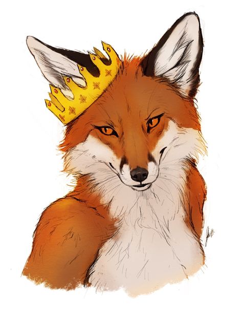 Fox Artwork, Fox Drawing, Fox Pictures, Drawing Heads, Oc Drawings, Canine Art, Fox Head, Fox Art, Animal Sketches