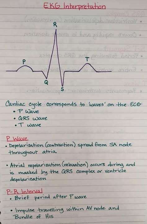 Vet Tech Medical Math, Iv Catheter In Dogs, Vet Tech Study Notes, Veterinarian Technician Notes, Vet Tech Tips, Vet Tech Work Bag Essentials, Vet Assistant Notes, Vet School Notes, Veterinary Technician Student