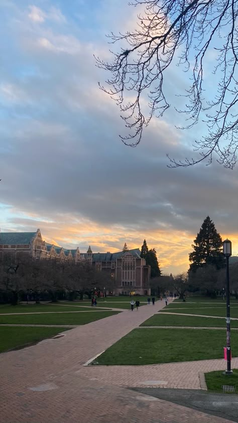 Tommen College Aesthetic, College Asethic, College Asthetics Photos, Mit University Aesthetic, University Aesthetic Campus, University Of Washington Aesthetic, Aesthetic College Life, University Campus Aesthetic, Tommen College