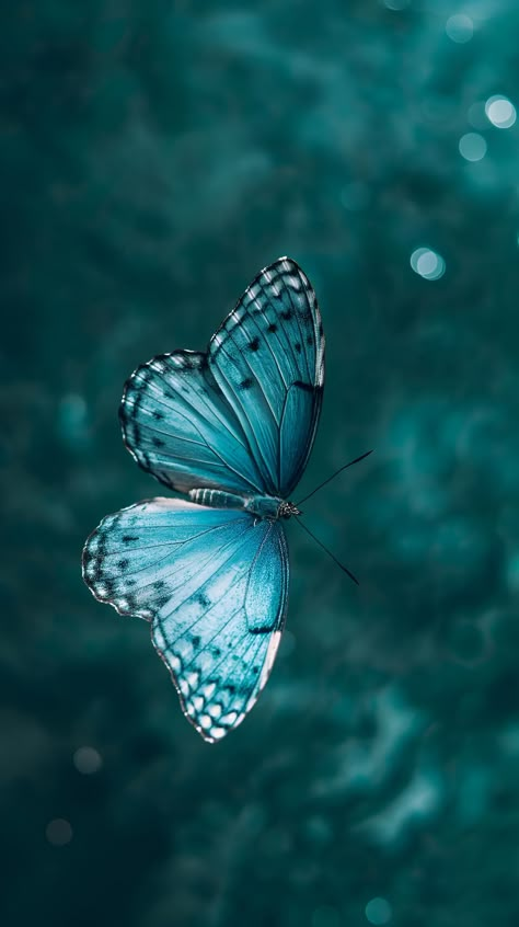 Capture this moment of tranquil beauty. 🦋 Save & follow for more enchanting visuals. A vivid blue butterfly unfolds its wings, revealing patterns that dance between shades of serene blues and deep, mysterious lines. The soft-focus backdrop enhances its delicate allure, inviting you to pause and revel in nature's artistry. Imagine this tranquil scene gracing your space.  #ButterflyBeauty #NatureArt #TranquilAesthetic #SaveAndFollow #ArtPrintAvailable #ImagePrompt #AIimage Teal Blue Aesthetic, Lotus And Butterfly, Blue Green Wallpaper, Wall Paper Ideas, Unique Backgrounds, Teal Butterfly, Thumbnail Ideas, Tela Iphone, Beauty Water