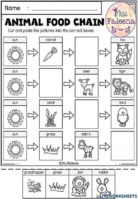 Worksheet 1st Grade, Life Science Experiments, Food Chain Activities, Food Chain Worksheet, Life Science Classroom, Oppgaver For Barn, Science Printables, Life Science Activities, First Grade Lessons