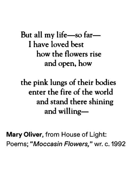 the earth laughs in flowers 🌸 The Earth Laughs In Flowers, Earth Laughs In Flowers, Mary Oliver, May 22, Beautiful Things, The Earth, To Tell, Love You, Flowers