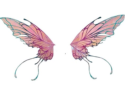 Wing Shapes Fairy, Fairy Wings Butterfly, Dragon Fairy Wings, Faerie Wing Tattoo, Full Back Fairy Wing Tattoo, Fae Wings Drawing, Fair Wings Tattoo, Winx Wings Tattoo, Fairy Wings Reference