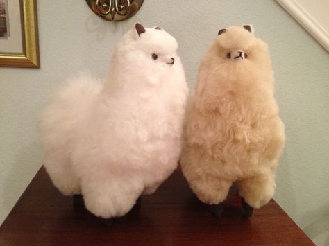 Alpaca Stuffed Animal, Cute Alpaca, Kawaii Plush, Kawaii Plushies, Cute Stuffed Animals, Unique Presents, Cute Toys, Cute Plush, 귀여운 동물