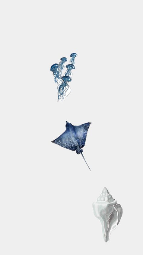 Navy Blue And White Aesthetic Wallpaper, Stingray Wallpaper Aesthetic, Manta Ray Wallpaper Iphone, Manta Ray Phone Wallpaper, Manta Ray Background, Blue And White Wallpaper, Eagle Ray, Manta Ray, White Wallpaper