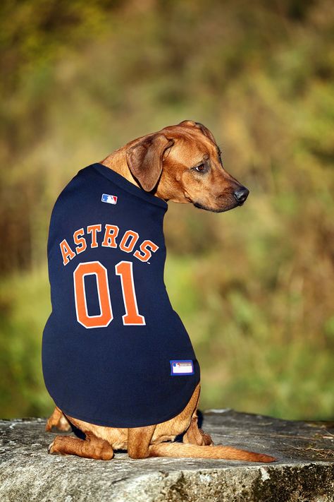 Dog Jersey, Personalized Jersey, Baseball Outfit, Pet Shirts, Mlb Teams, Dog Cute, Tampa Bay Rays, Cornhole Boards, Team Jersey