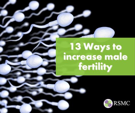 Did you know that being underweight or overweight can have negative effects on a man's sperm?⁠ ⁠ In this article, you’ll find out what you can do to increase male fertility:⁠ https://b.link/3phetp⁠ .⁠ .⁠ #menshealth #sperm #male #malehealth #malefertility #fertility #nutrition #nutritionist #diaitologoskalamariagr #infertility #diet #health #dietandnutrition #fertilityawareness #dietetics #ttc #dietitian #fertilityproblems #eathealthyfood #fertilityjourney #fertilitysupport #semen Male Fertility Boost, Pregnancy Super Foods, Fertilization Process, Hcg Injections, Fertility Tea, Fertility Nutrition, Sperm Health, Diets For Men, Low Sperm Count