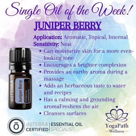 Juniper Berry Tea, Juniper Essential Oil, Juniper Berry Essential Oil, Spiritual Religion, Berry Tea, Juniper Berries, Essential Oil Blends Recipes, Juniper Berry, My Favourite Things