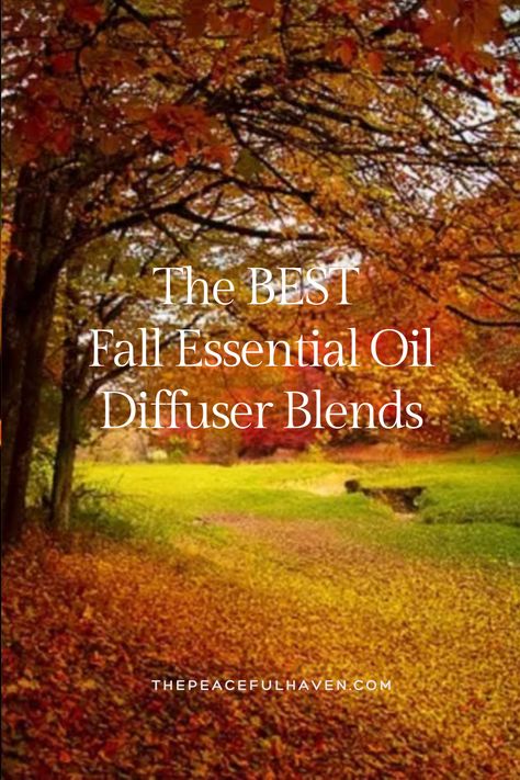 This week I have been testing as many of the Fall diffuser blends as I could find.  My family has had to endure a lot of exciting scents.  I started off the process searching for the perfect Pumpkin Spice diffuser blend.  Doesn’t that sound amazing?  Well, I was so disappointed to realize that you really can’t make the pumpkin spice scent without the coffee or pumpkin smell.  Nope, I can’t do it!  The good news is that I was able to come up with the very BEST Fall Essential Oil Diffuser Blends! Fall Essential Oil Diffuser Blends, Pumpkin Spice Scent, Fall Essential Oils, Fall Diffuser Blends, So Disappointed, Coffee Smell, Simple Lifestyle, Diffuser Blend, Simpler Lifestyle