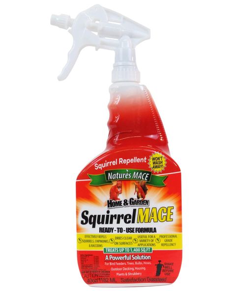 PRICES MAY VARY. Squirrel MACE technology advanced formula incorporates eco-friendly ingredients effective at repelling squirrels and other rodents. Our squirrel repellent has the power and strength to completely repel squirrels, chipmunks, and raccoons form bird feeders, flowerpots, and attics. Eco-friendly ingredients: Squirrel MACE repellent is strong and powerful because it uses a proprietary combination of scents & odors found in nature. Nature’s MACE products are bio-degradable and safe *w Keep Squirrels Out Of Garden, Repel Squirrels, Mace Spray, Chipmunk Repellent, Squirrel Repellant, Squirrel Repellent, Car Plants, Deer Repellant, Natural Repellent