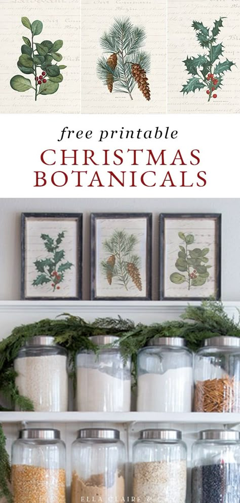 Vintage Christmas Botanicals, Free Printable Christmas Wall Art, Vintage Christmas Printables, Christmas Prints Free, Vintage Christmas Prints, Christmas Botanicals, Christmas Cottagecore, Bird Printables, Ella Claire