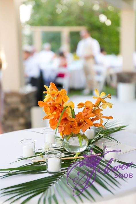 Cocktail Table Centerpieces, Bud Vases Wedding, Bud Vases Arrangements, Orchid Centerpiece, Bud Vase Centerpiece, Tropical Centerpieces, Simple Cocktail, Wedding Arbors, Tropical Flower Arrangements