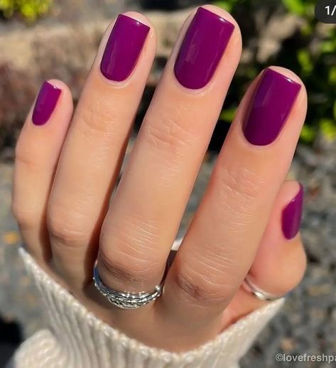 Diy Nail Color Ideas, Nail Color Wedding Guest, Nail Tip Colors Ideas, Deep Magenta Nails, Best Colors For Short Nails, Feb Nails Colors, Grape Color Nails, January Birthday Nails 2023, May Color Nails