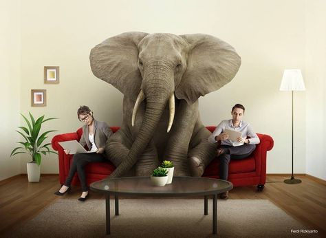 Mediocrity is the elephant in the room. You can choose whether to excuse it or let it stay... Dealing With Difficult People, Elephant In The Room, Difficult People, Great Leaders, In The Room, Cartoon Jokes, Creative Ads, Room Art, New Wall