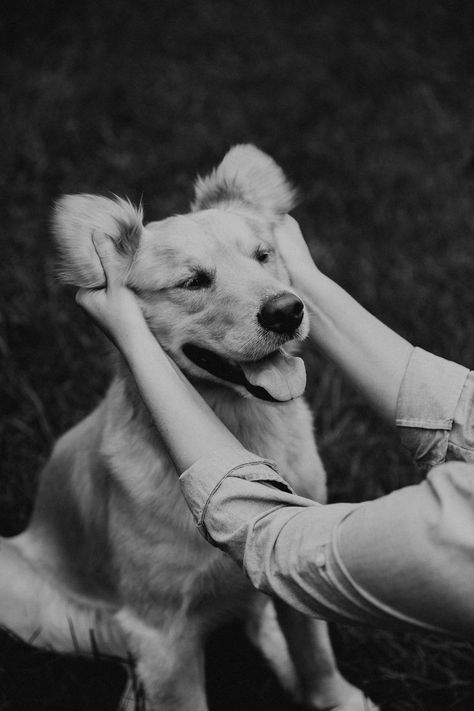 Dog Owner Photoshoot, Dog Family Pictures, Pet Photography Poses, Family Dog Photos, Dog Photoshoot Pet Photography, Dog Photography Poses, Animal Photoshoot, Puppy Photography, Greensboro North Carolina