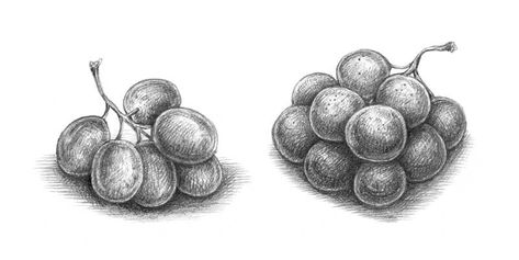 How to Draw Grapes with Colored Pencils Grapes Sketch Pencil, Grapes Drawing Pencil, Drawing Of Grapes, Grape Sketch, Grapes Sketch, Drawing Grapes, Grapes Drawing, Candle Sketch, Simple Art Drawings