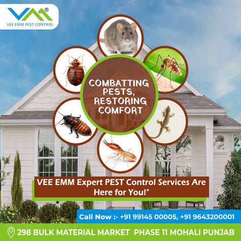 Fumigation Flyer, Rodent Control, Mosquito Control, Termite Control, Pest Management, Pest Control Services, Bed Bugs, Post Design, Pest Control