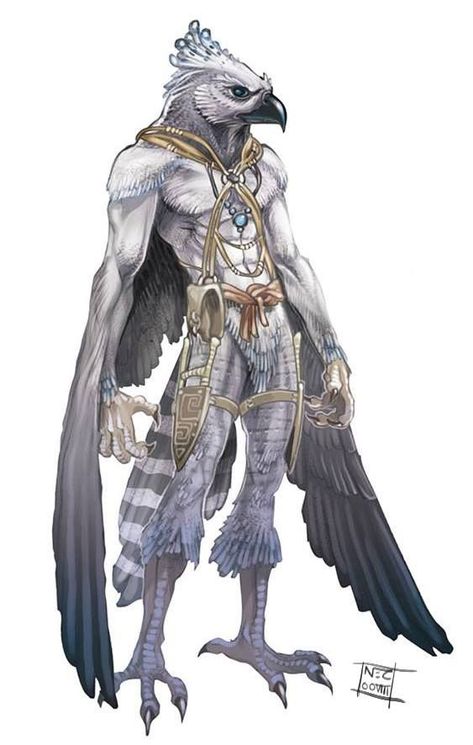 Fantasy Creatures Humanoid, Aarakocra Dnd, Bird People, Character Design Cartoon, Dark Sun, Fantasy Races, Dungeons And Dragons Characters, Dnd Art, Creature Concept Art