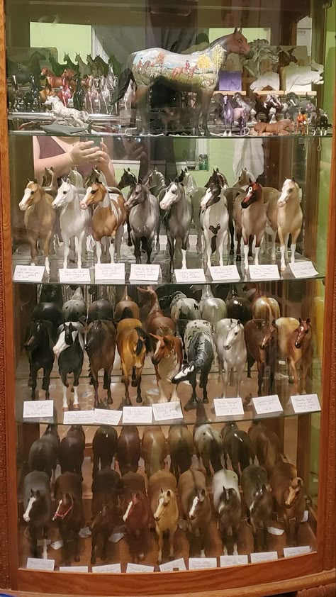 Schleich Horse Display, Model Horse Display Ideas, Breyer Horse Display, Willow Gifts, Horse Room Decor, Toy Horse Stable, Horse Animation, Horse Room, Horse Model