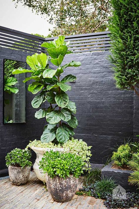 Room Green, Meteor Garden 2018, Walled Garden, Black Garden, Luxury Garden, Design Room, Garden Photography, Garden Care, Small Garden Design