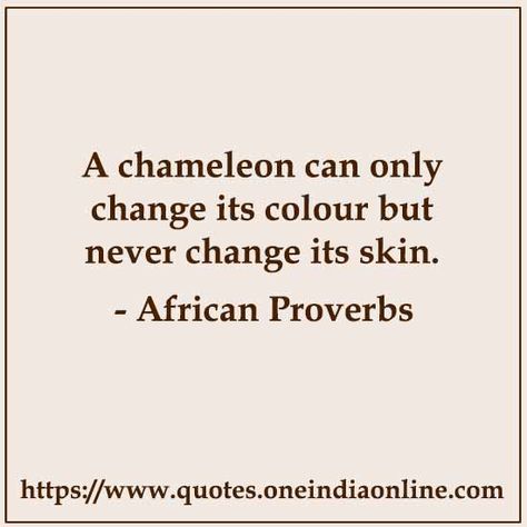 Proverbs In English, Deep Poem, Sensible Quotes, English Proverbs, African Quotes, Perspective Quotes, Zen Quotes, Inspirational Words Of Wisdom, Proverbs Quotes