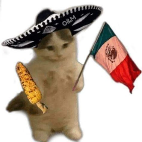 Mexican Memes, Stickers Design, Make Your Own Stickers, Personalized Stickers, Playlist Covers, Mood Pics, Custom Stickers, Cute Cat, Funny Memes