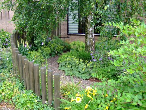 Piet Oudolf, Outdoor Backyard, Little Garden, Colorful Garden, Private Garden, Back Garden, Small Gardens, Lawn And Garden, Front Garden