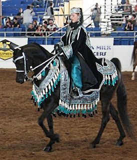 Scottsdale Arabian Horse Show - Costume Class Arabians Horses, Arabian Costumes, Arabian Horse Costume, Horses Arabian, Black Arabian Horse, Native Costume, Horse Halloween Costumes, Arabian Costume, Jumping Horses