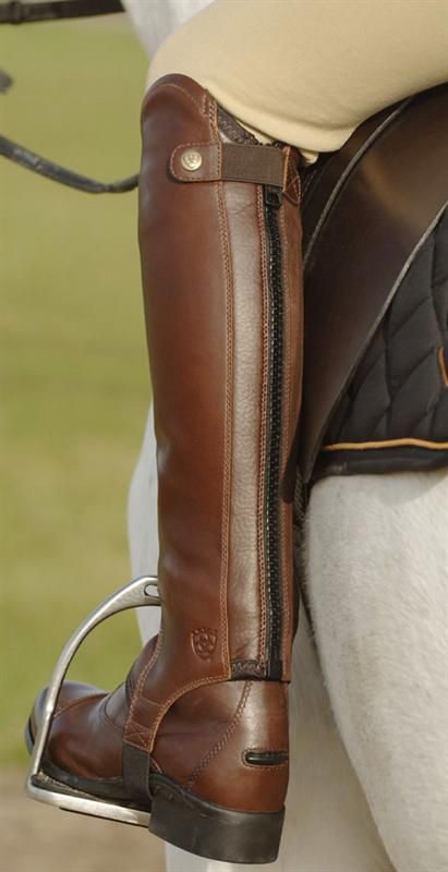 Currently riding with Ariat leather half chaps and paddock boots. Equine Fashion, Patricia Field, Horse Riding Boots, Horse Riding Outfit, Half Chaps, Paddock Boots, Horse Fashion, Horse Equipment, English Riding