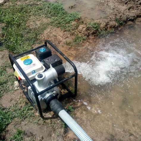 Water Pump for Irrigation Rice Farm Rice Farm, Leaf Blower, Water Pump, Water Pumps, Dyson Vacuum, Outdoor Power Equipment, Vacuum Cleaner, Rice, Water