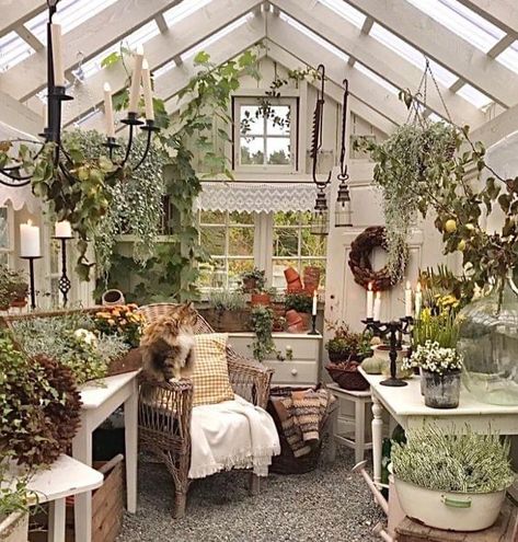 Cottage Garden Sheds, Garden Shed Interiors, Ideas Terraza, Shed Decor, Shed Interior, Garden Houses, Greenhouse Shed, Greenhouse Interiors, Backyard Greenhouse