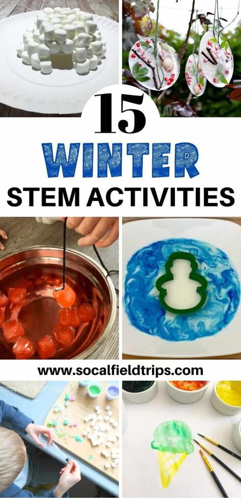 Snowflake Steam Activity, December Steam Activities For Kids, December Stem Activities For Kids, Winter Stem Activities Elementary, Winter Stem Activities For Kids, December Stem, Stem Winter, Stem Night, Sustainability Activities