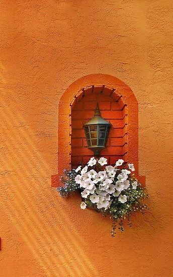 Orange Orange Walls, Have Inspiration, Orange Aesthetic, Orange Is The New, Foto Art, Aesthetic Colors, Happy Colors, Mellow Yellow, Shades Of Orange