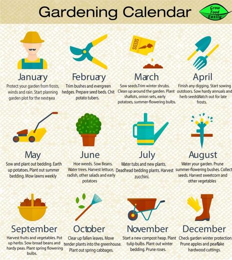 Zone 6 Planting Schedule, Zone 6 Planting, Growing Activities, Homestead Garden Layout, Planting Schedule, Gardening Calendar, When To Plant Vegetables, Planting Calendar, Landscape Rock