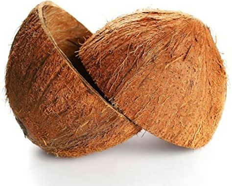 Coconut Shell Halves Natural Half Shell (Case pack 2) Coconut Natural  | eBay Coconut Shell Products, Palm Aesthetic, Shell Aesthetic, Smoothie Aesthetic, Bowl Aesthetic, Coconut Aesthetic, Coconut Beach, Coconut Drink, Coconut Dessert