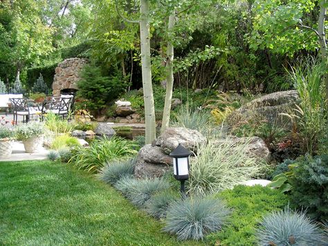 Patio Garden w Aspen Juniper Spruce Grasses Sedum | Explore … | Flickr - Photo Sharing! Aspen Landscaping, Garden Ideas Homemade, Patio Garden Ideas, Unique Backyard, Backyard Garden Ideas, Backyard Garden Layout, Backyard Garden Landscape, Small Backyard Gardens, Big Garden