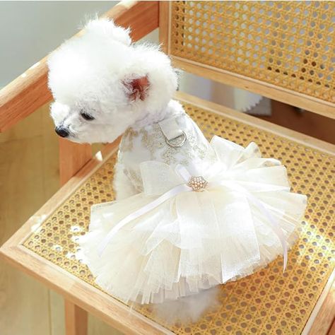 Fancy Dog Dresses with Leash Ring, Embroidered Dog Wedding Dress  Sale
| dog tattoo | dog names | dog breeds | dog aesthetic |dog dress | dress pattern | dog dress up ideas | Wallpaper |pets aesthetic | pets name
#dog tattoo | #dog names | #dog breeds | #dog aesthetic |#dog dress | #dress pattern | #dog dress up ideas | Ice Wedding, Puppy Wedding, Dog Fancy Dress, Dog Wedding Dress, Cat Dressed Up, Dog Tutu, Puppy Dress, Cat Wedding, Princess Dog