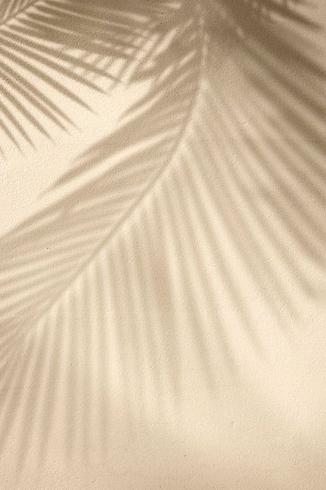 Palm Tree Background Aesthetic, Beige Palm Tree Aesthetic, Neutral Palm Tree Aesthetic, Aesthetic Background For Business, Aesthetic Background For Logo, Aesthetic Feed Fillers, Palm Aesthetic, Palm Tree Shadow, Moodboard Background