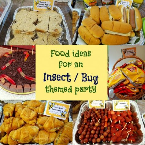 Looking for boy's party ideas? Check out these fun food ideas for an Insect or Bug themed party via Mommy Snippets. Bug Snack Ideas, Bug Party Food, Bird Theme Party, Bug Themed Party, Bird Theme Parties, Bug Food, Reptile Party, Bug Party, Party Food Themes