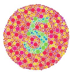 5 Color Blind Test, Blind Test, Test For Kids, Birth Colors, Test Image, Shingle Colors, Color Vision, Color Test, Color Blind