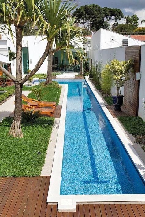 Swimming Pools Backyard Landscape, Contemporary Backyard, Landscaping Layout, Indoor Pool Design, Swimming Pool Landscaping, Small Swimming Pools, Small Pool Design, Backyard Pool Landscaping, Small Pools