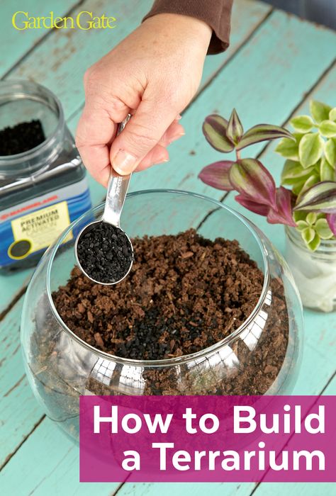 Need a little green indoors? Try this fun terrarium project! We have tips and step-by-step photos to help build a successful terrarium. #Terrarium #DIYTerrarium #Houseplants #IndoorGardening #WinterGardening #GardenProject #GardeningforKids #GardenGateMagazine Fishbowl Terrarium Diy, Fishbowl Terrarium Ideas, Setting Up A Terrarium, How To Build A Terrarium Diy, Plants In A Jar Terrarium Ideas, Terrarium Easy, Planting A Terrarium, Make A Terrarium, Greenhouse Terrarium Ideas