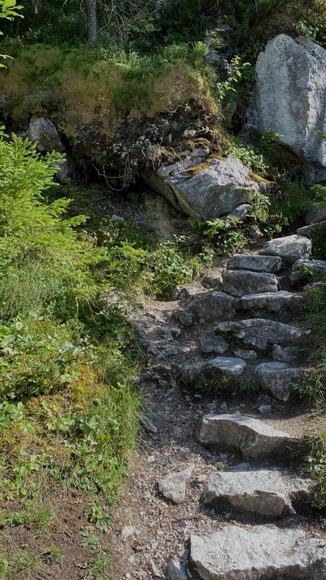 forest | aesthetic forest | woods | stone steps | nature | plants | 👒 Performance Ideas, Carving Spoons, Stone Cairns, Forest Aesthetic, Stone Steps, Aesthetic Forest, Turn To Stone, Sketching Ideas, Old Rock