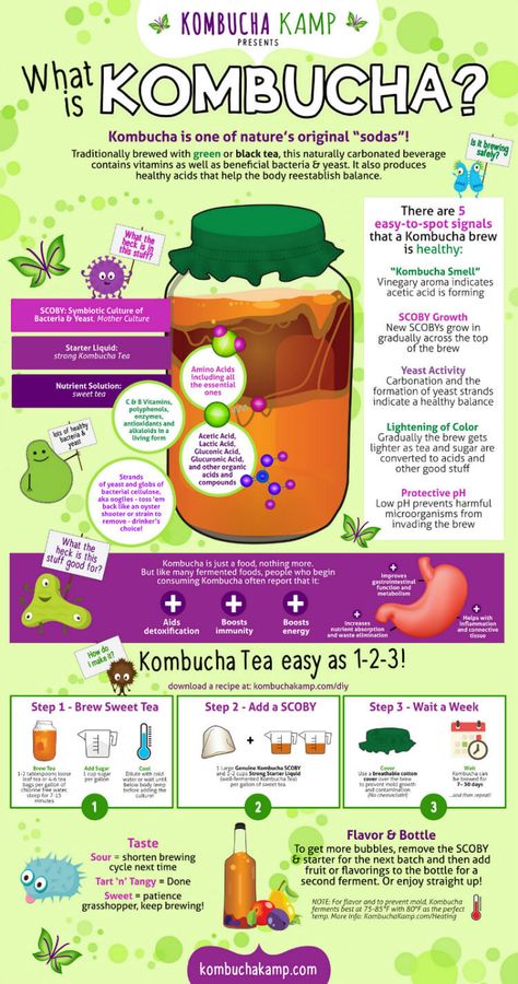 What is Kombucha and How to Make It on 100 Days of Real Food Make Your Own Kombucha, Diy Kombucha, Kombucha Flavors, Kombucha Scoby, Kombucha Recipe, Homemade Kombucha, Kombucha Tea, Fermentation Recipes, Fermented Drink