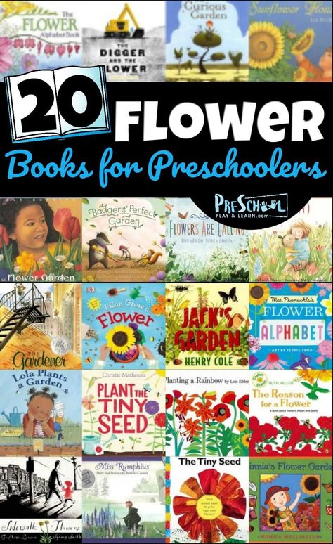 Spring has sprung and the flowers are blooming! We love looking at all of the flowers around our neighborhood this time of year and trying to find flowers for each color. This list of flower books for preschoolers is sure to get you in the mood for some flower gazing as well! These preschool books about flowers are fun to read with pre-k, toddler, kindergarten, and first grade students too! So come pick your new favorite flower books for kids to cuddle up and read together! Planting A Rainbow, Books For Preschoolers, Wordless Picture Books, The Tiny Seed, Printable Flower, Plant Book, Flower Alphabet, Gardening Books, Preschool Books