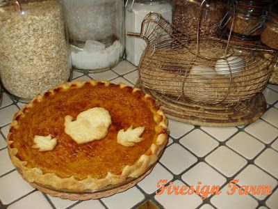 Firesign Farm: Pink Banana Squash Pie Banana Squash Recipes, Pink Banana Squash, Banana Squash, Squash Pie Recipes, Squash Pie, Homestead Recipes, Whole Wheat Crackers, Banana Pie, Desert Climate