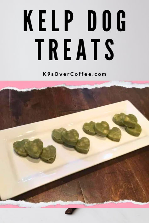 12 homemade heart shaped kelp dog treats on a white plate Homemade Pet Treats, Raw Dog Food Recipes, Dog Treats Homemade Recipes, Homemade Dog Food, Dog Treat Recipes, Pet Treats, Homemade Dog, Homemade Treats, 2 Ingredients