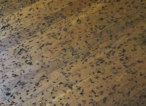 Remove Carpet, Old Wood Floors, Removing Carpet, Clean Hardwood Floors, Cleaning Wood Floors, Painting Carpet, Fire Pit Furniture, How To Clean Silver, Doors And Floors