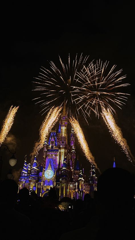 Disney College Program Aesthetic, Disney Parks Aesthetic, Cane Brothers, Fireworks Instagram, Disney World Fireworks, Disney Fireworks, Disney 50th Anniversary, Disney Photo Ideas, Family Disney Trip